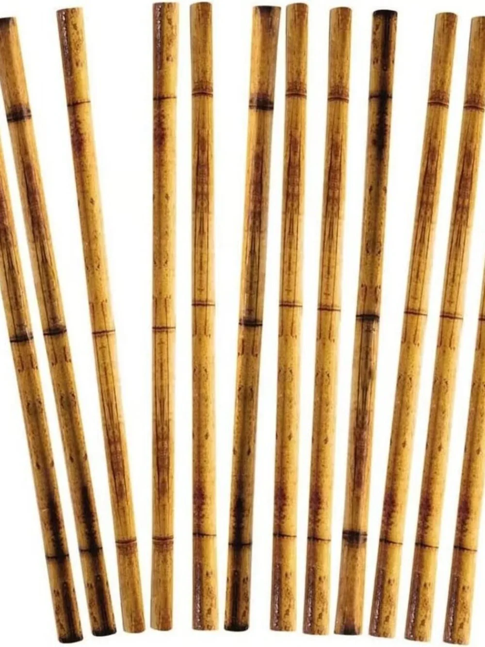 12pk Bamboo Print Party Straws - Luau, Tiki & Tropical Decor - Forum Novelties
